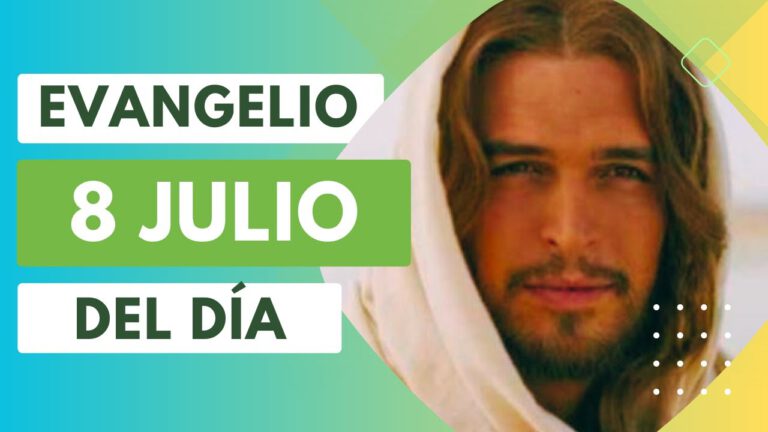 Evangelio del día 8 de julio