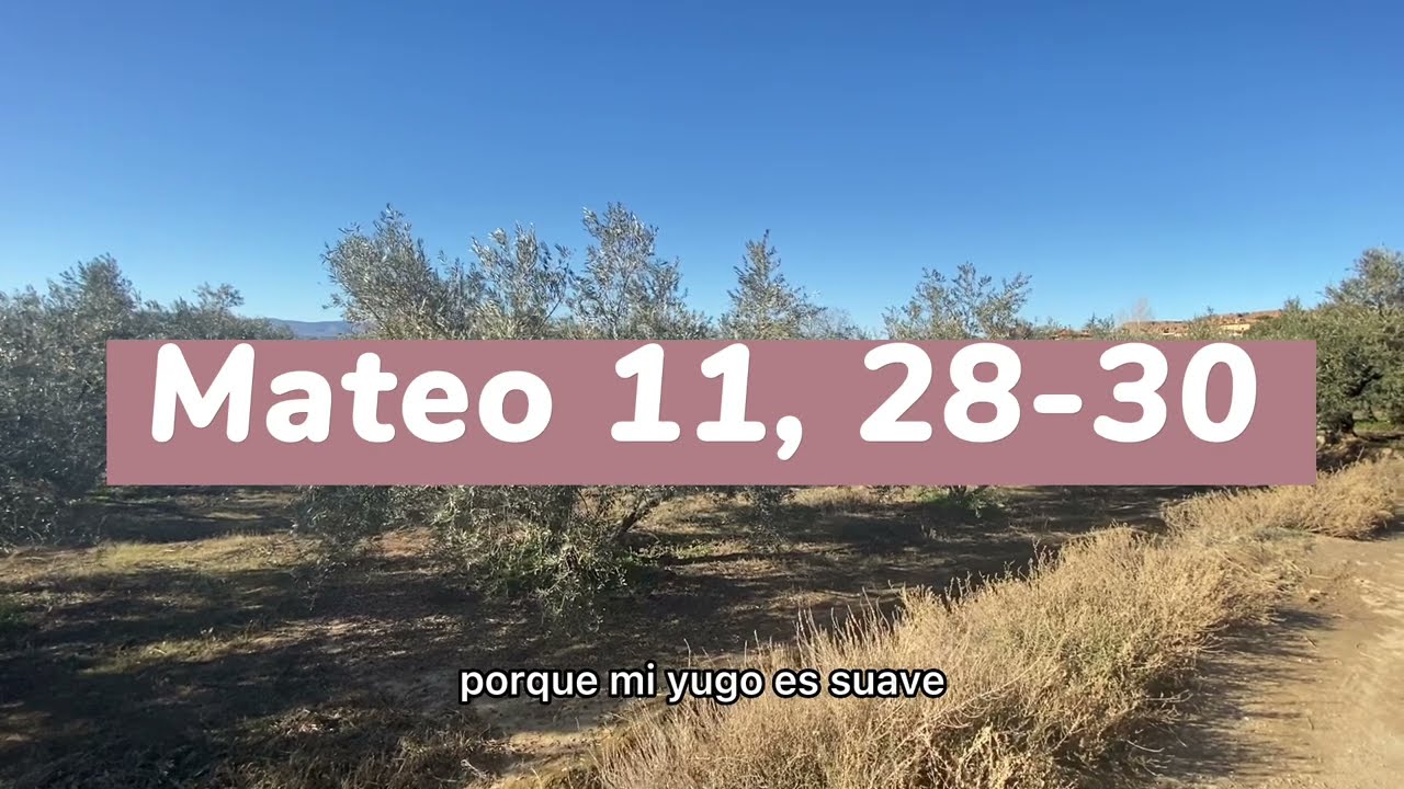 MATEO 11, 28-30
