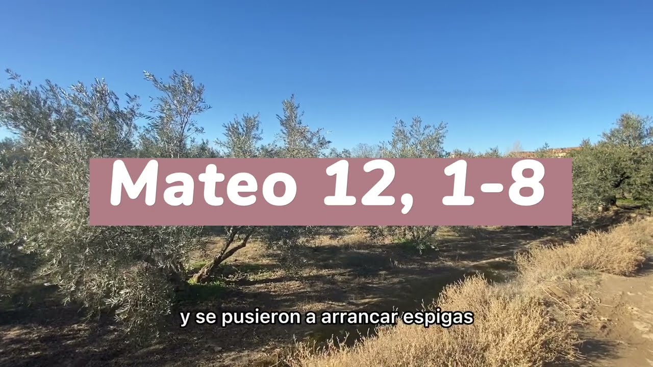 MATEO 12, 1-8