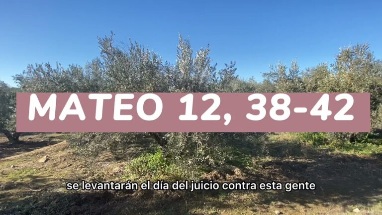 MATEO 12, 38-42