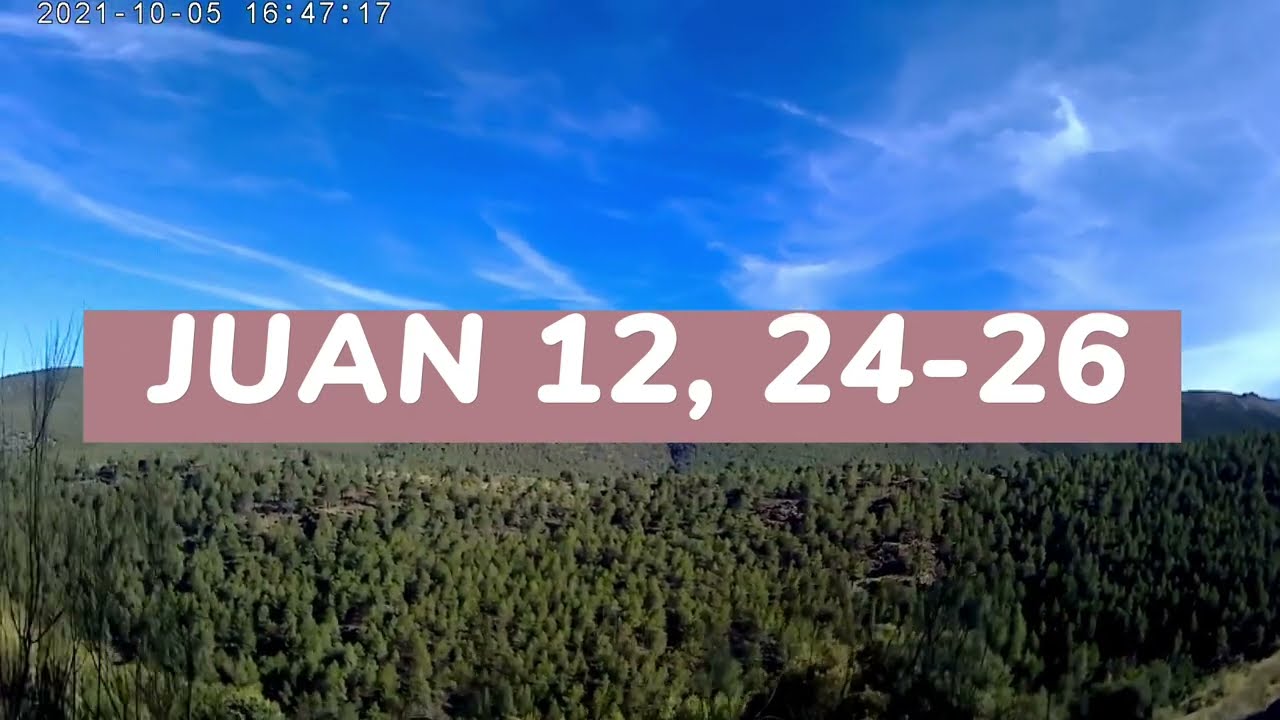 Juan 12, 24-26