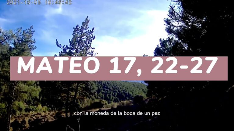 ᐅ Evangelio según San Mateo 17, 22-27 - padrenuestro.net