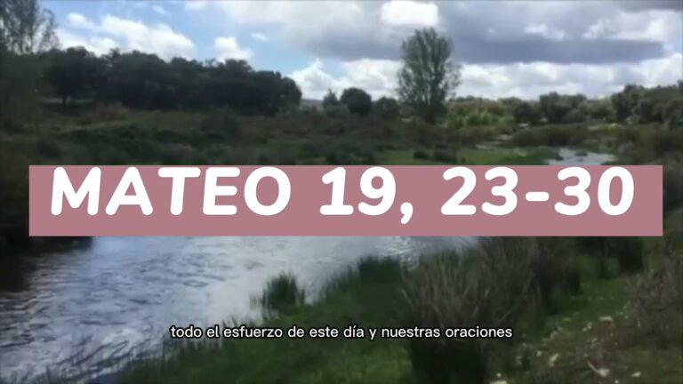  Evangelio Seg n San MATEO 19 23 30 Padrenuestro