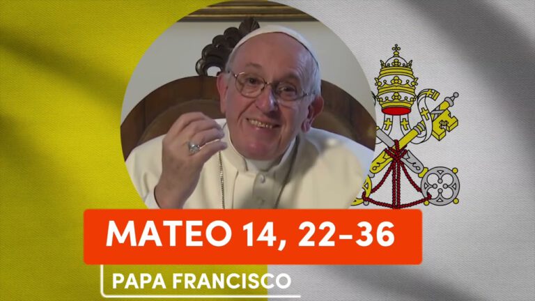 EVANGELIO según San MATEO 14, 22-36
