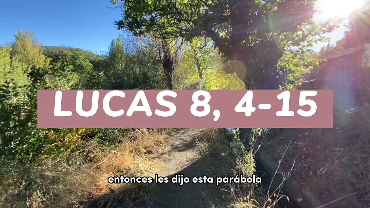 LUCAS 8, 4-15