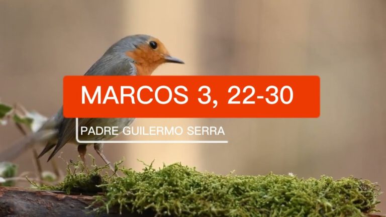 Evangelio según San Marcos 3, 22-30