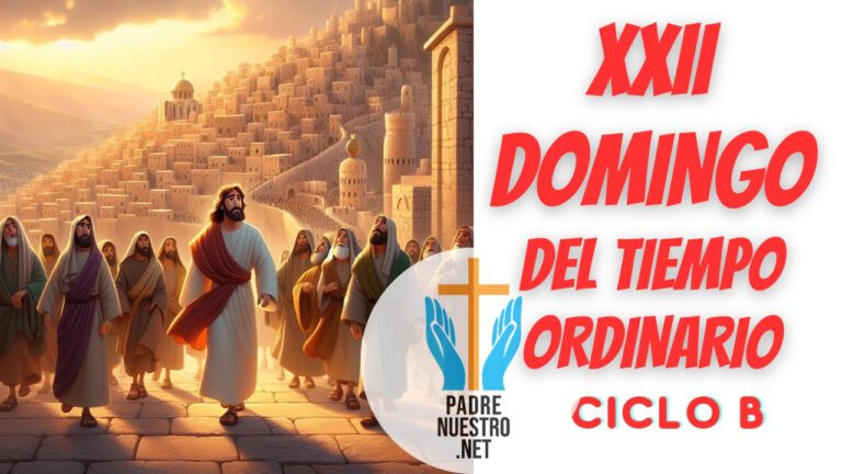 XXII Domingo del Tiempo Ordinario