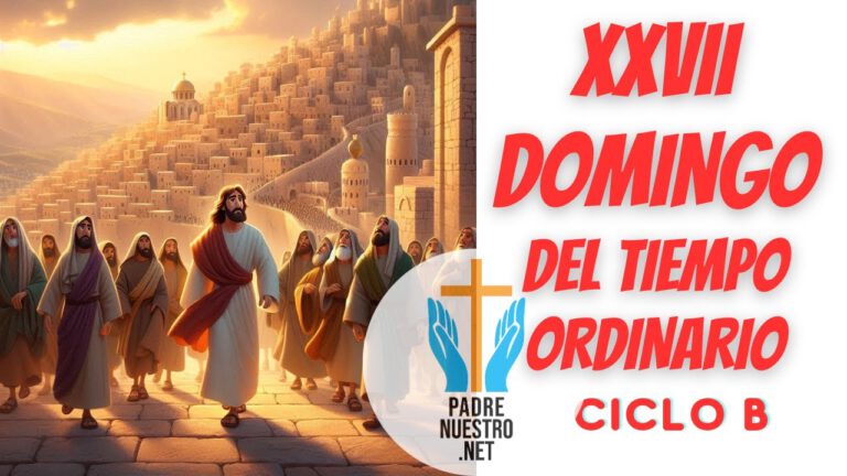 Domingo XXVII del Tiempo ordinario - Ciclo B