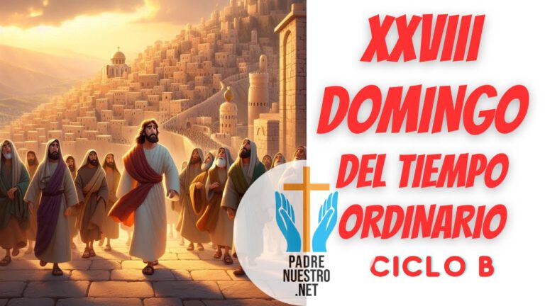 28° del Tiempo Ordinario
