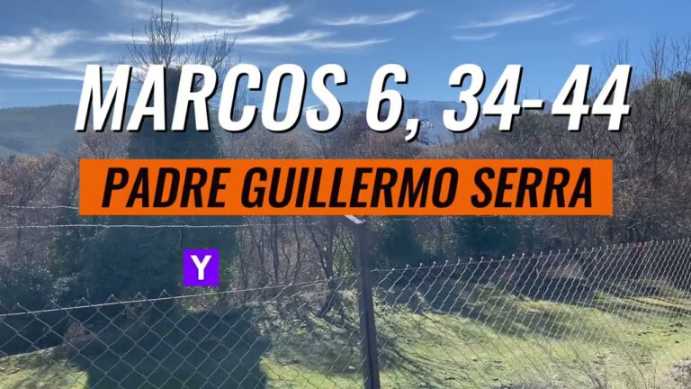Evangelio según San Marcos 6, 34-44