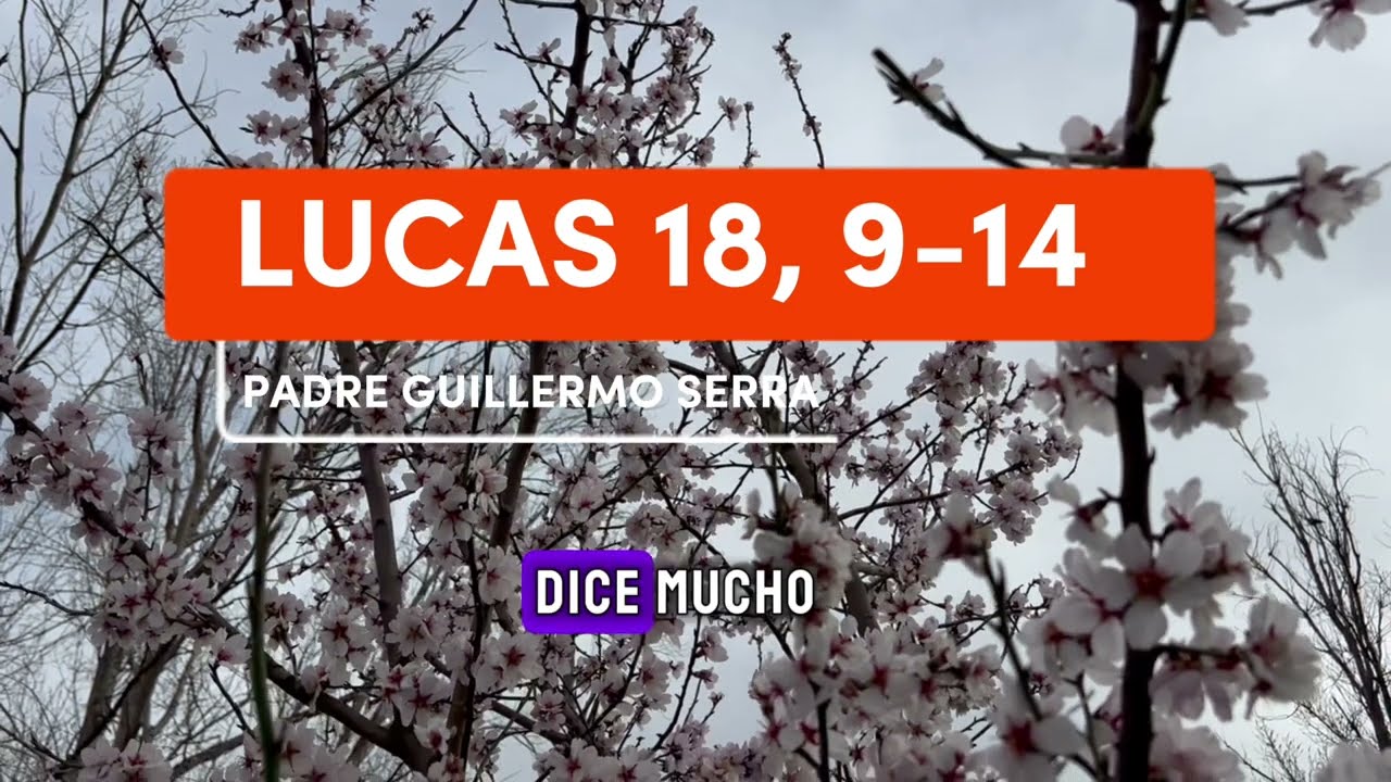 EVANGELIO SEGÚN SAN Lucas 18, 9-14