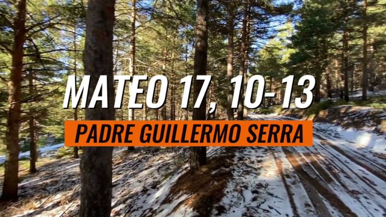 EVANGELIO según SAN MATEO 17, 10-13