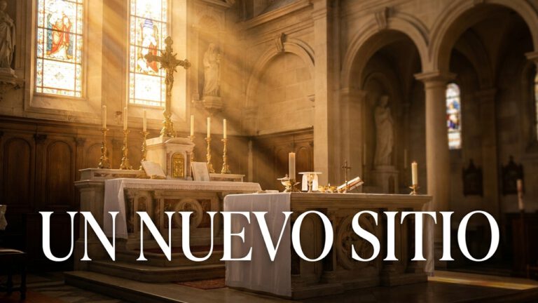 Un nuevo sitio disponed