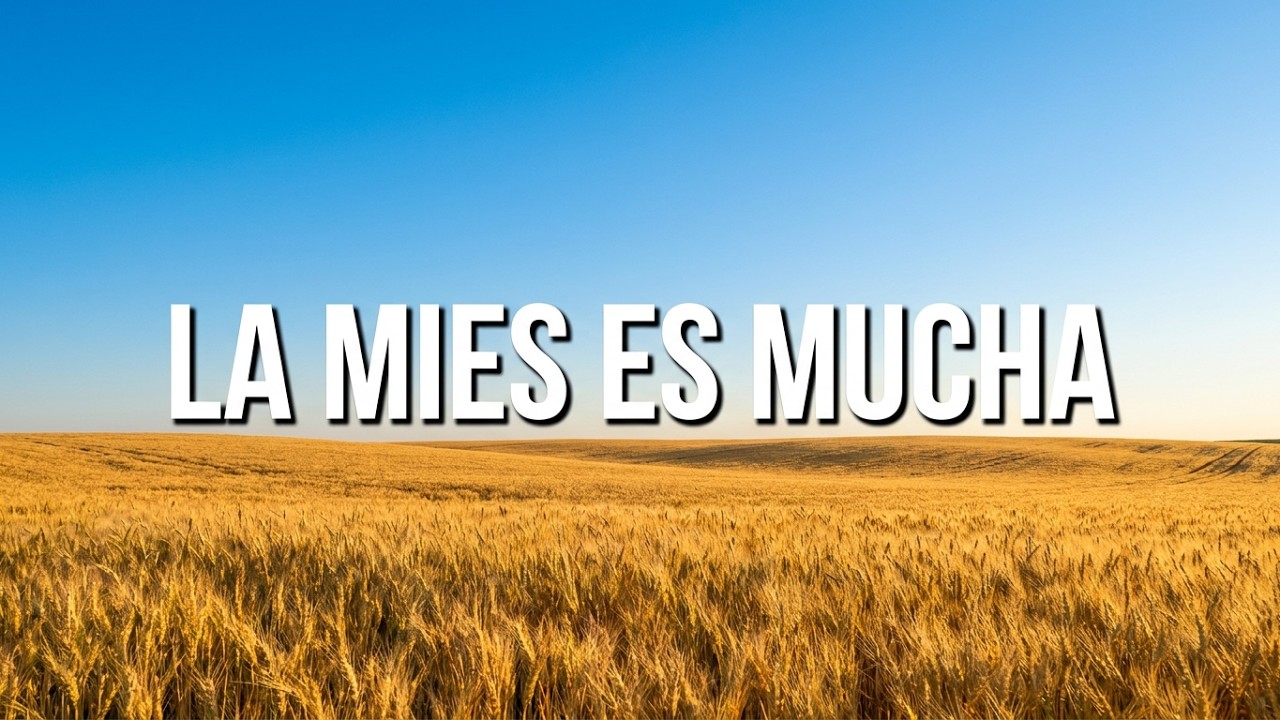 Décimo primer Domingo del Tiempo Ordinario