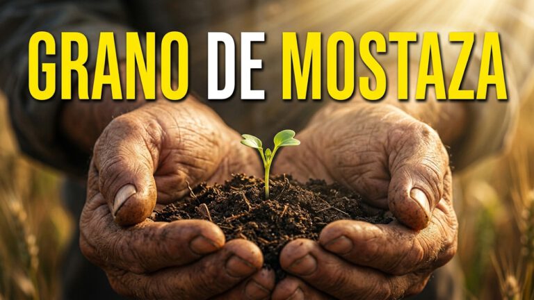 Parábola del Grano de Mostaza (Letra Completa) | Canción Católica Basada en Mateo 13